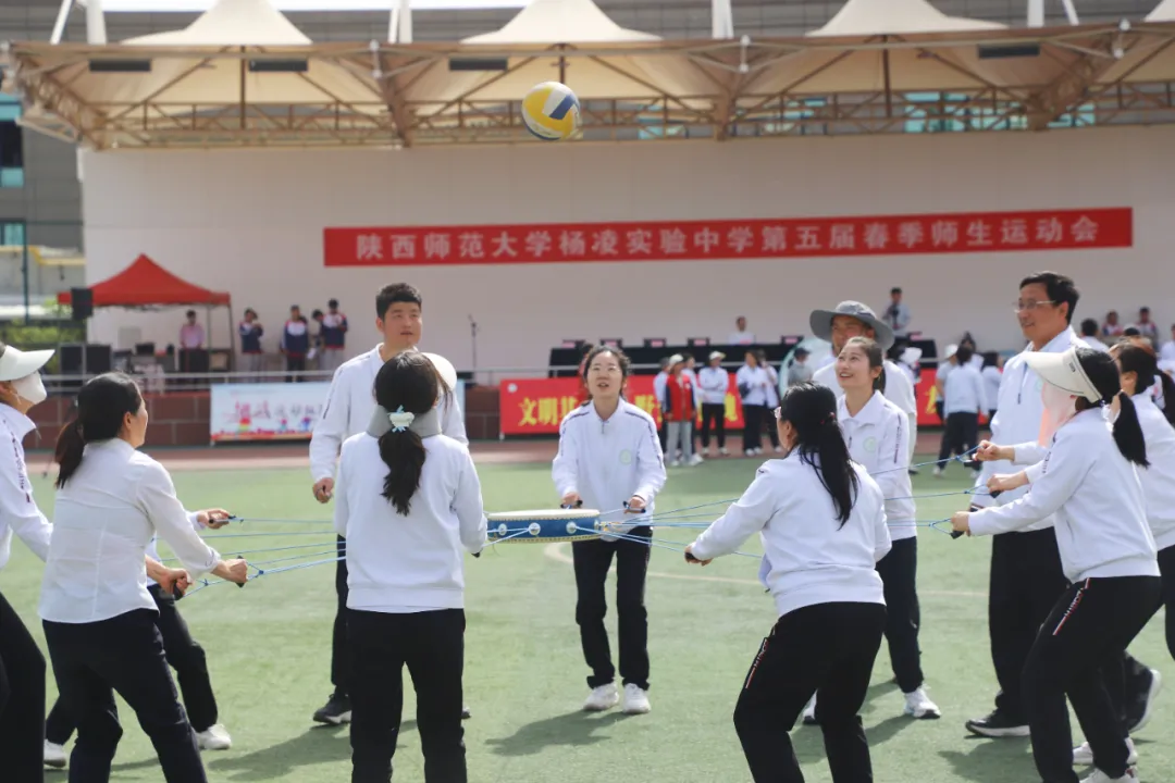 1763013798552014.png 微信图片_20251113113105_108_7.png